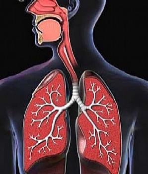 CONSENSO BRASILEIRO DE DISFAGIA: FAÇA O DOWNLOAD CONSENSO BRASILEIRO DE DISFAGIA: FAÇA O DOWNLOAD
